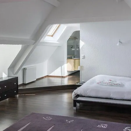 Pour 12 Face Au Chateau De Avec Jardin, Cheminee Et Equipements Pmr - Fr-1-585-38 Landsted *