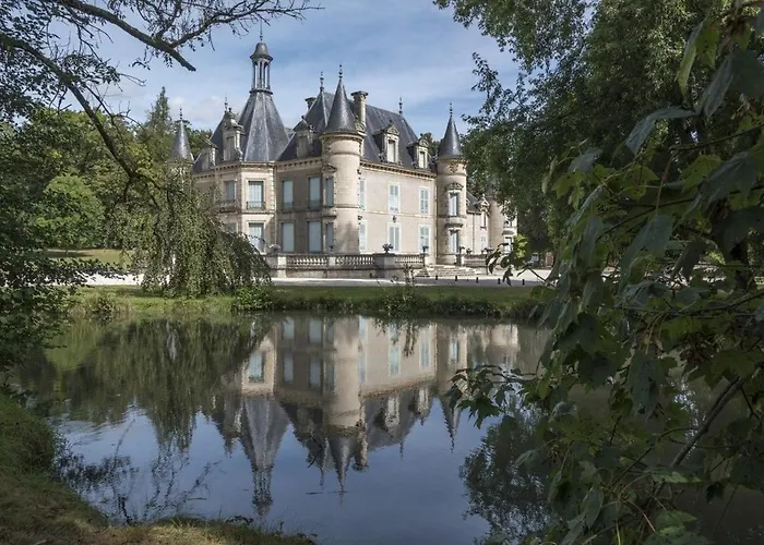 Pour 12 Face Au Château De Avec Jardin, Cheminée Et équipements Pmr - Fr-1-585-38 Hébergement de vacances *