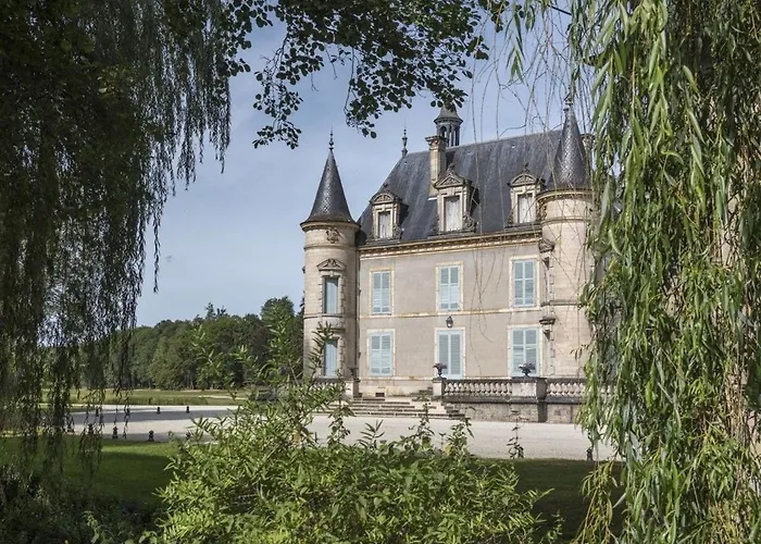 Hébergement de vacances Pour 12 Face Au Château De Avec Jardin, Cheminée Et équipements Pmr - Fr-1-585-38