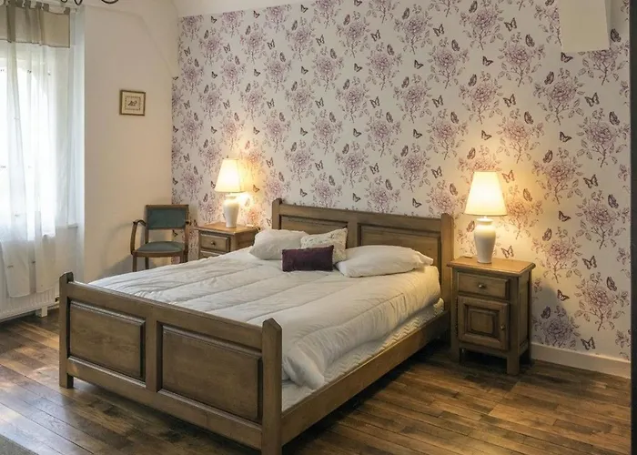 Hébergement de vacances Pour 12 Face Au Château De Avec Jardin, Cheminée Et équipements Pmr - Fr-1-585-38