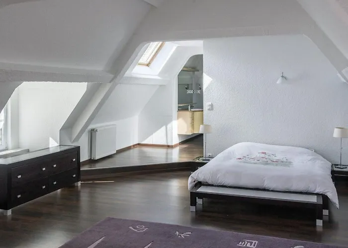 Pour 12 Face Au Chateau De Avec Jardin, Cheminee Et Equipements Pmr - Fr-1-585-38 Prázdninový dům *