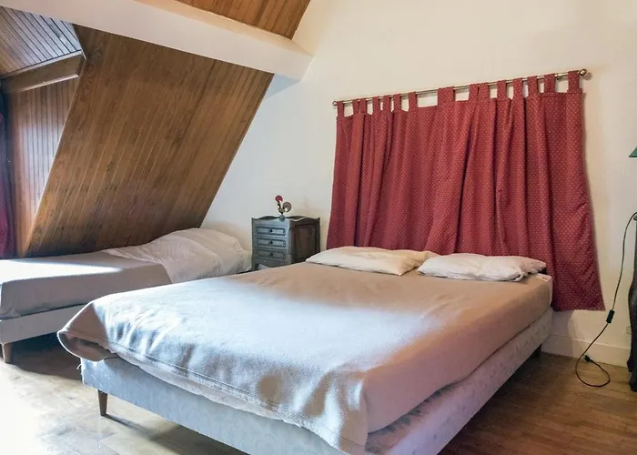 Pour 12 Face Au Château De Avec Jardin, Cheminée Et équipements Pmr - Fr-1-585-38 Hébergement de vacances